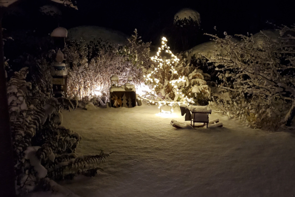 Weihnachtsbeleuchtung im vorderen Garten