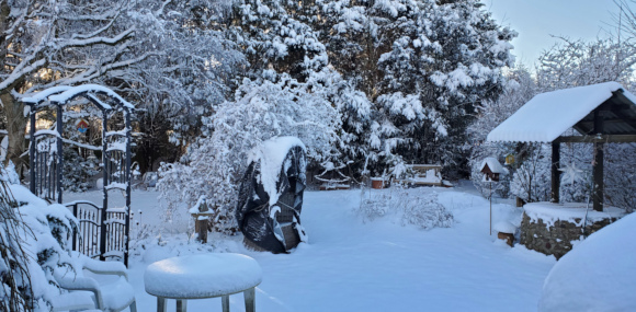 verschneiter, hinterer Garten