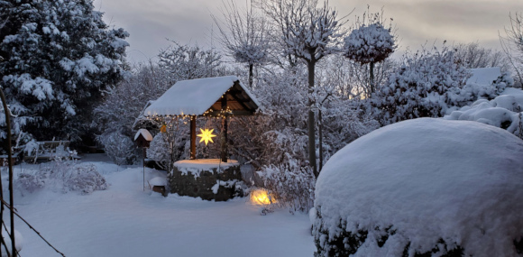 verschneiter, hinterer Garten