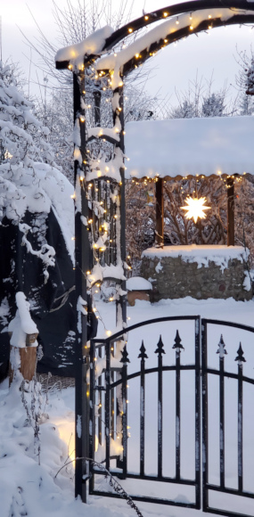 Weihnachtsbeleuchtung 25/26