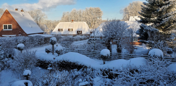 Winter am Dreesprung