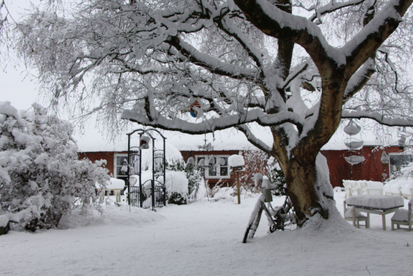 Garten und Geba&auml;ude der FeWo Vergissmeinnicht