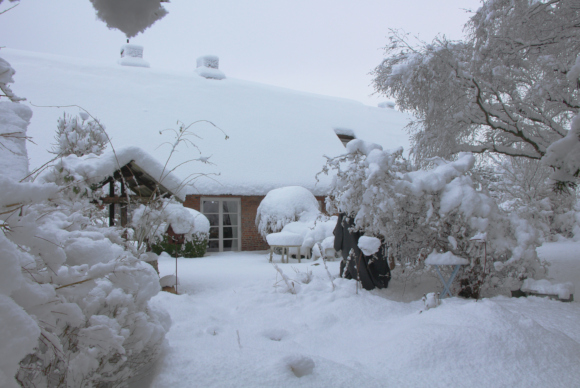 winterliche Schneepracht im hinteren Garten