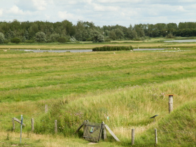 katingsiel