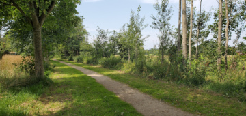 s&uuml;dlicher Talrandweg